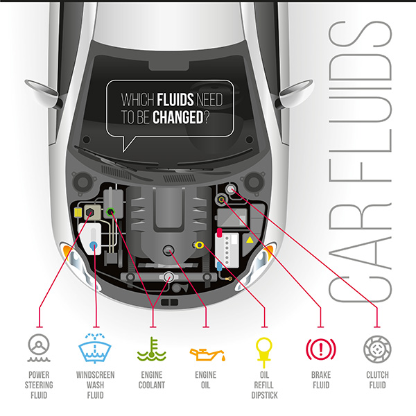 How to Check and Maintain Your Car's Fluid Levels | Portland Automotive